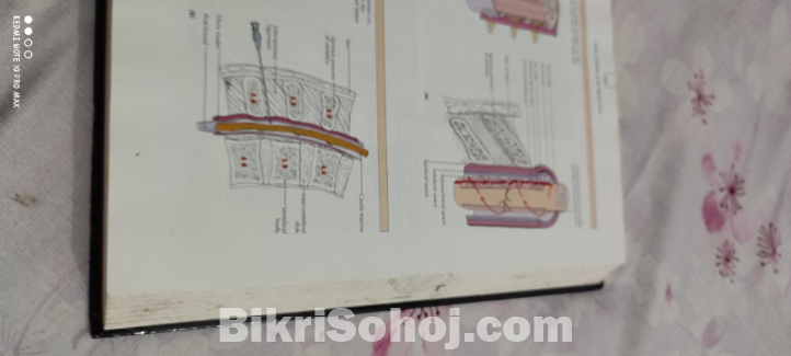 Human anatomy and physiology robert carola