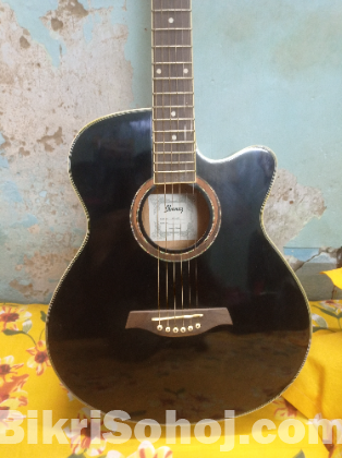 Acoustic Guitar