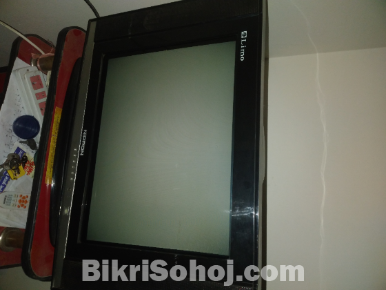 Nippon TV 21 inch