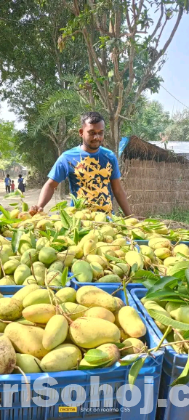 সুইট থাই কাটিমন আম