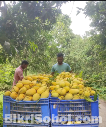 সুইট থাই কাটিমন আম