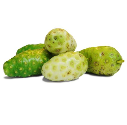 Noni Fruit (ননী ফল)