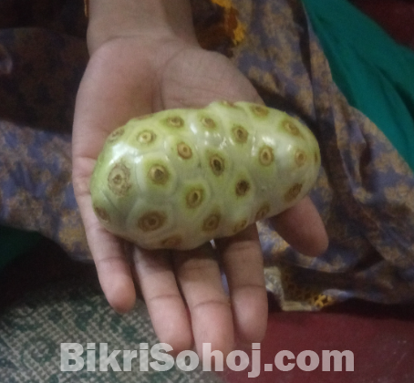 Noni Fruit (ননী ফল)