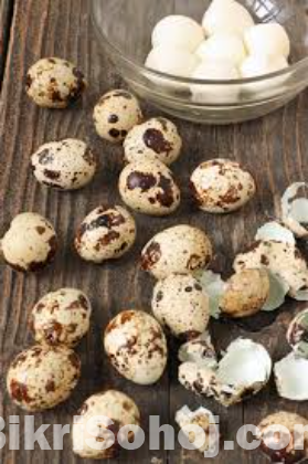 Quail bird Eggs