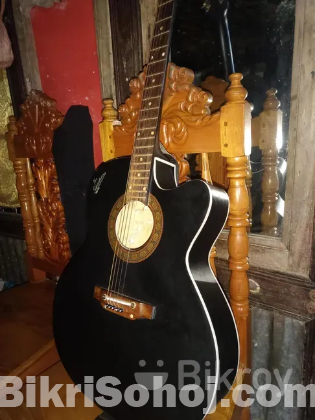 Guitar