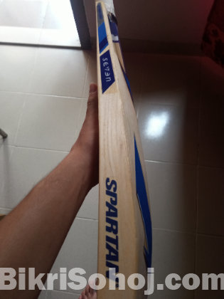 Cricket bat