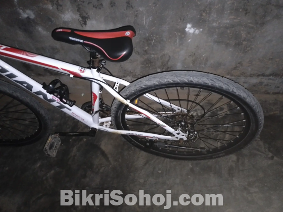 DIANT Super bicycle. (Full Fresh)