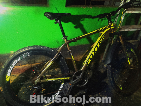 FOXTER FT6.3 Bicycle for sale