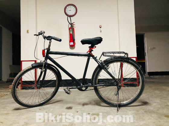 Hero Bicycle - Custom