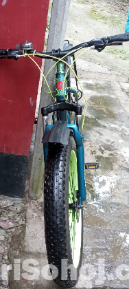 Fat bike