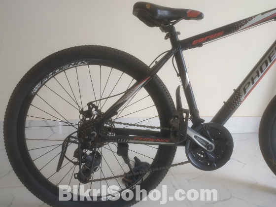 Phoenix Corus modified cycle up for sale