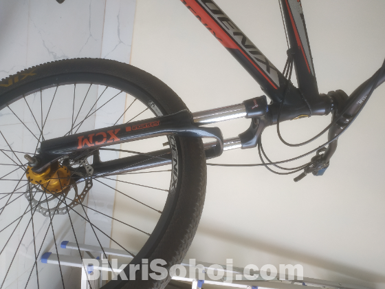 Phoenix Corus modified cycle up for sale