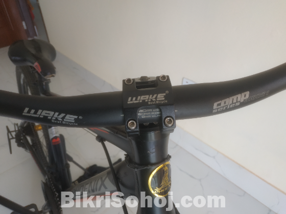 Phoenix Corus modified cycle up for sale