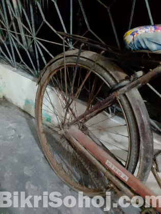 bangla cycle