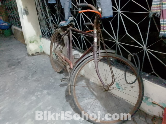 bangla cycle