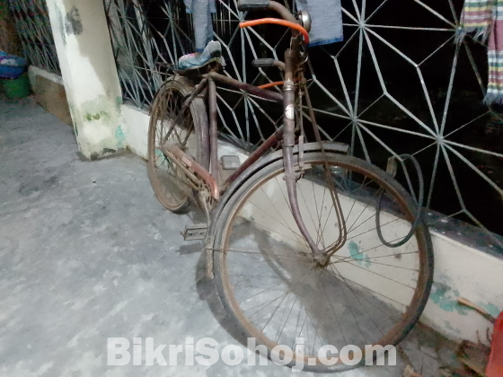 bangla cycle