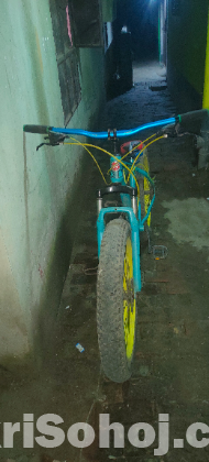 Fat bike