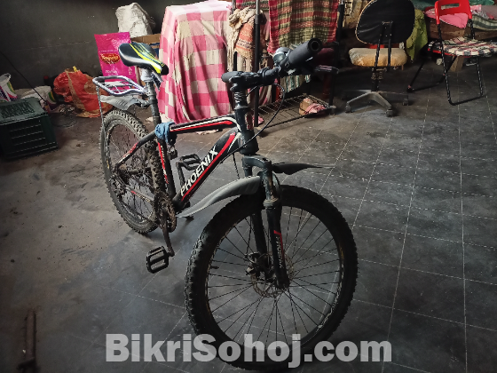 Phoneix Gear Bicycle