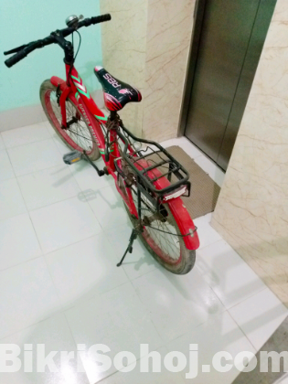 Duronto bicycle for sale 