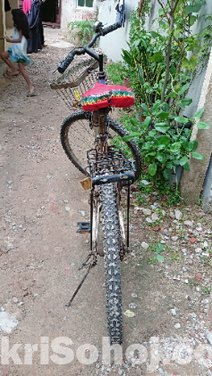 Prince Bicycle (Non-Gear & Dual Spring Suspension) Used.