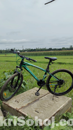 দুরন্ত ( Duranta )