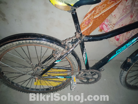 Prince vegaus bicycle