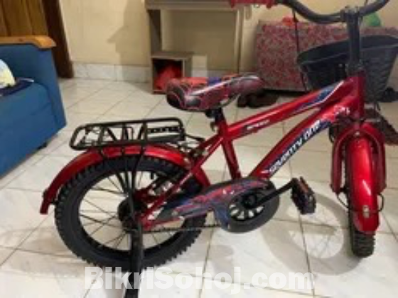 Bicycle for sell, মজবুত বাইসাইকেল বিক্রি করব।