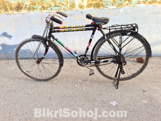 Phonics Bangla cycles